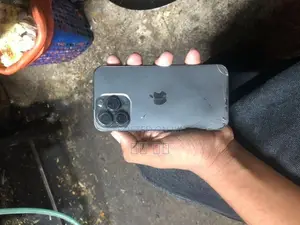 Apple iPhone 13 Pro (Used)