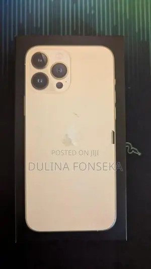 Apple iPhone 13 Pro Max (Used)