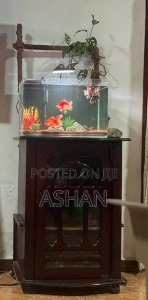 Fish Tank Stand Full Set