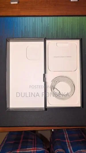 Apple iPhone 13 Pro Max (Used)