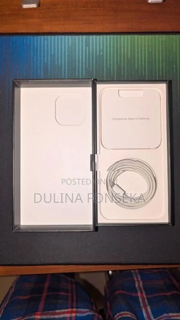 Apple iPhone 13 Pro Max (Used)