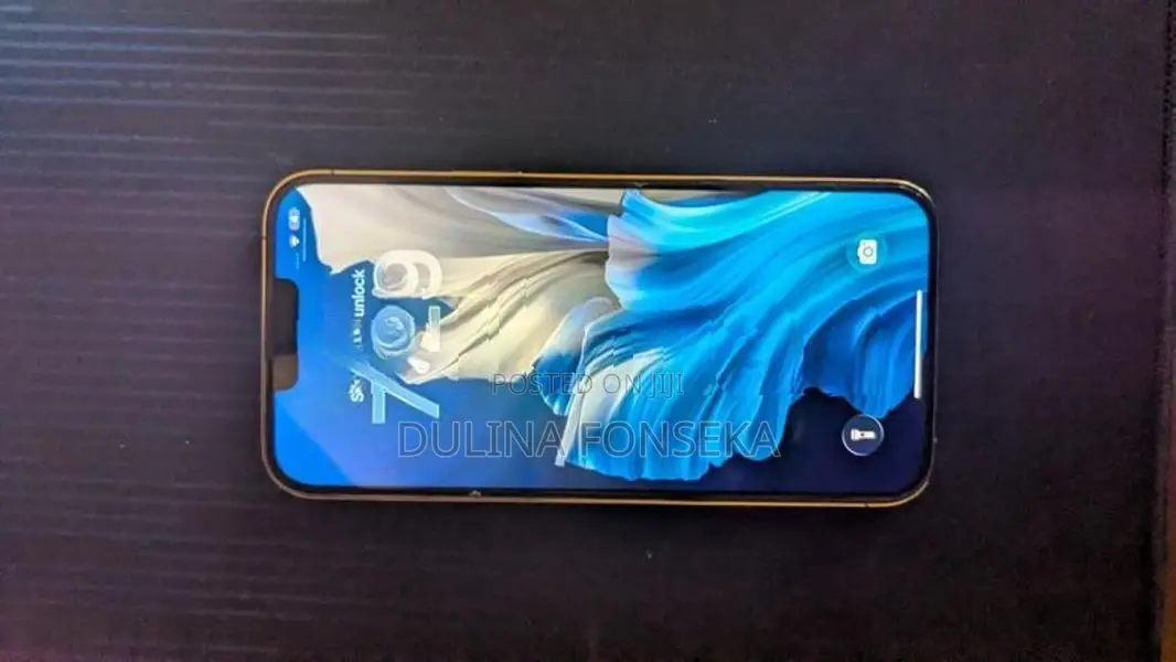 Apple iPhone 13 Pro Max (Used)