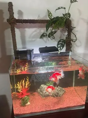 Fish Tank Stand Full Set