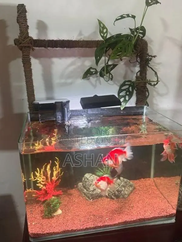 Fish Tank Stand Full Set
