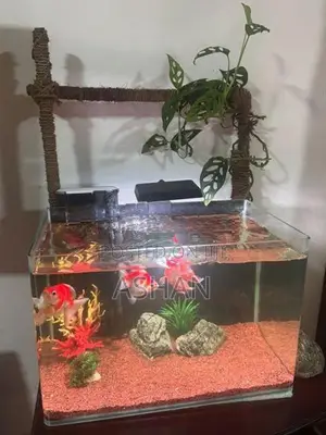 Fish Tank Stand Full Set
