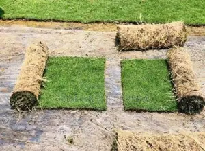 Grass Planting interlock paving