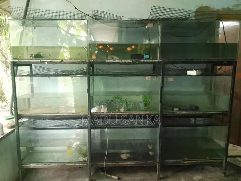 Fish Tank Sets