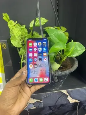 Apple iPhone X (Used)
