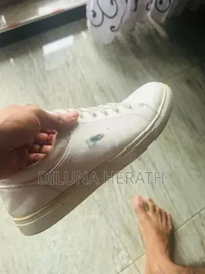 lacoste white pair