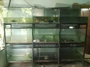 Fish Tank Sets