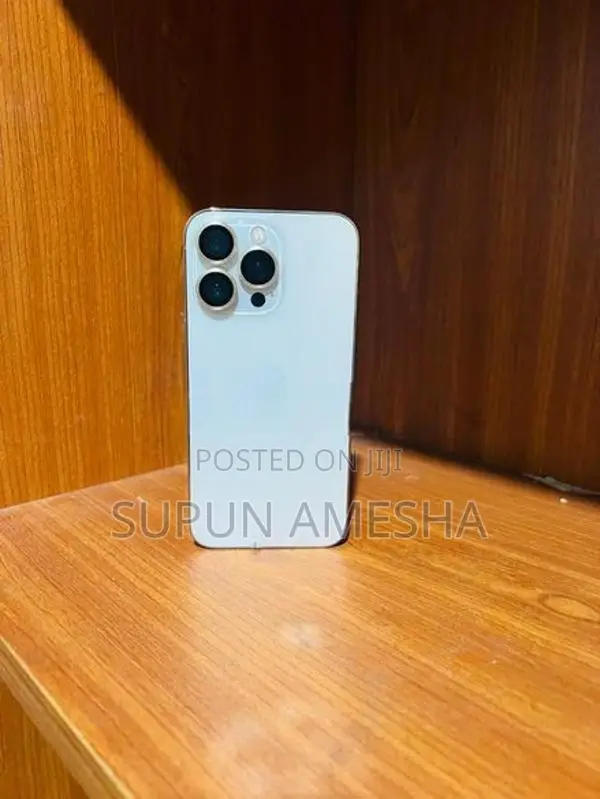 Apple iPhone 13 Pro (Used)
