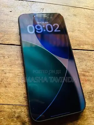 Apple iPhone 17 Pro Max (Used)