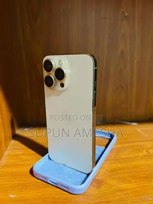 Apple iPhone 13 Pro (Used)