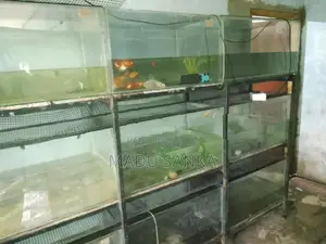 Fish Tank Sets