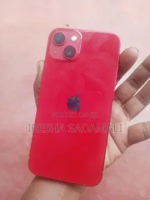 Apple iPhone 13 (Used)