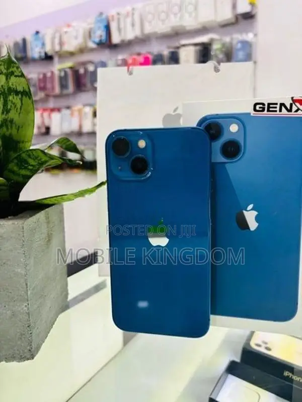 Apple iPhone 13 128GB Fullset Box (Used)