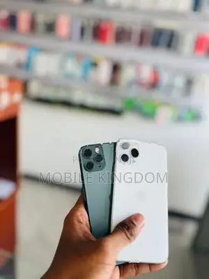 Apple iPhone 11 Pro 256GB Fullset Box (Used)