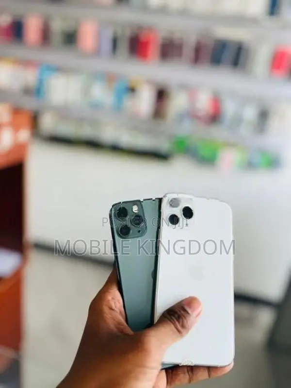 Apple iPhone 11 Pro 256GB Fullset Box (Used)
