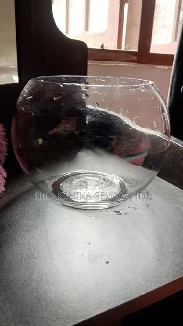 Fish Bowl