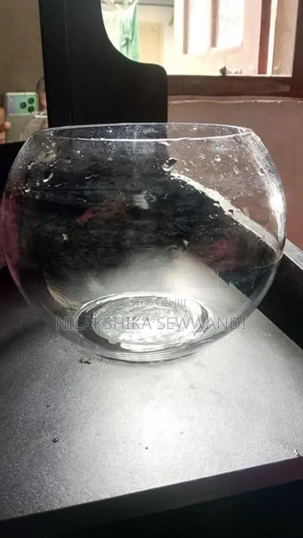 Fish Bowl