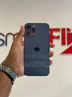 Apple iPhone 12 Pro Max (Used)