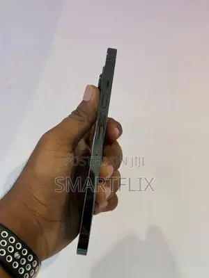Apple iPhone 13 Pro Max (Used)