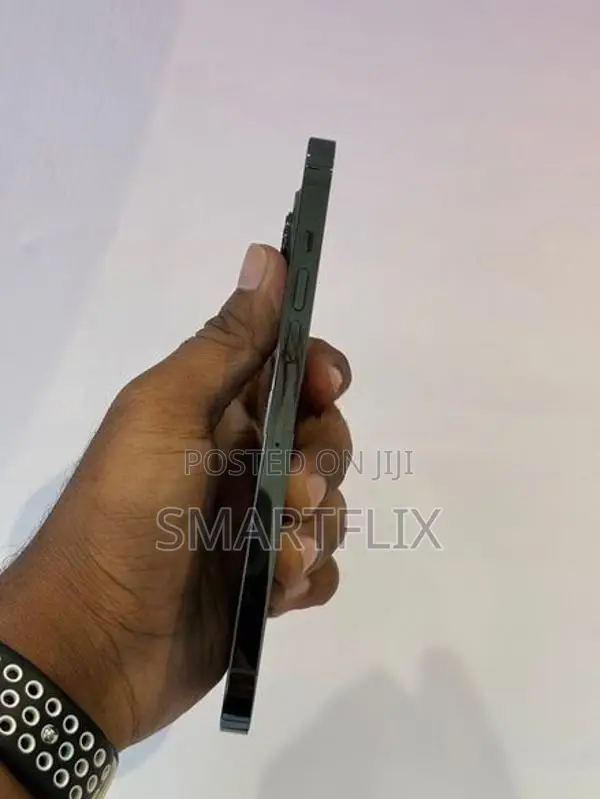 Apple iPhone 13 Pro Max (Used)