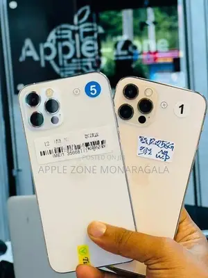 Apple iPhone 12 Pro 256GB (Used)