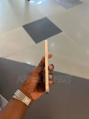 Apple iPhone 12 (Used)