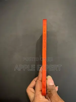 Apple iPhone 12 (Used)