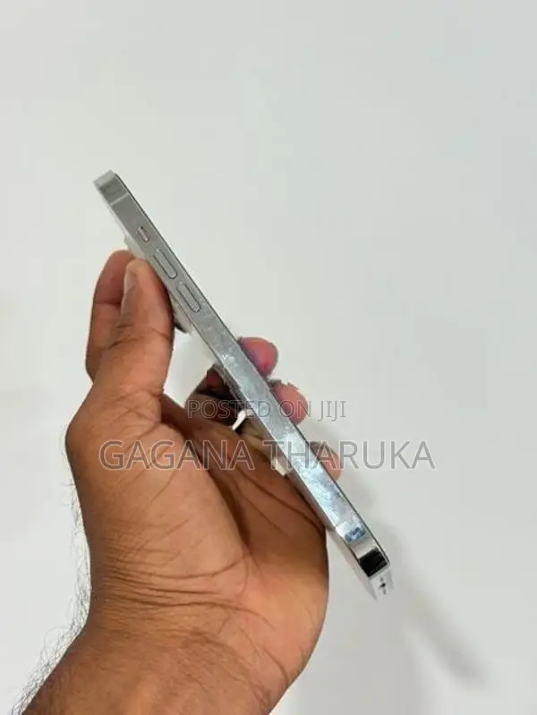 Apple iPhone 13 Pro Max (Used)