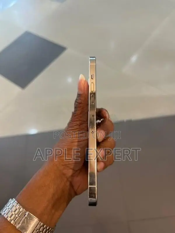 Apple iPhone 12 Pro Max (Used)