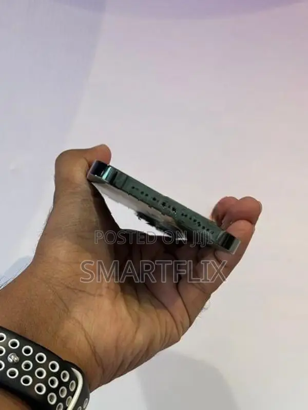 Apple iPhone 13 Pro Max (Used)