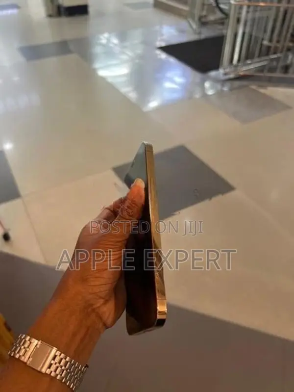 Apple iPhone 12 Pro Max (Used)