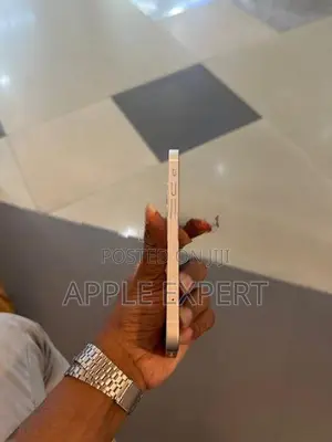 Apple iPhone 12 (Used)