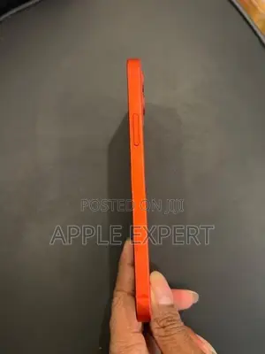 Apple iPhone 12 (Used)