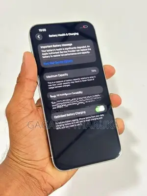 Apple iPhone 13 Pro Max (Used)