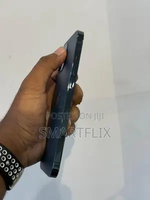 Apple iPhone 12 Pro Max (Used)
