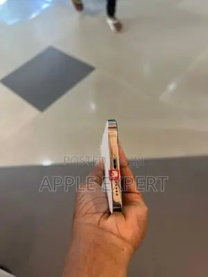 Apple iPhone 12 Pro Max (Used)