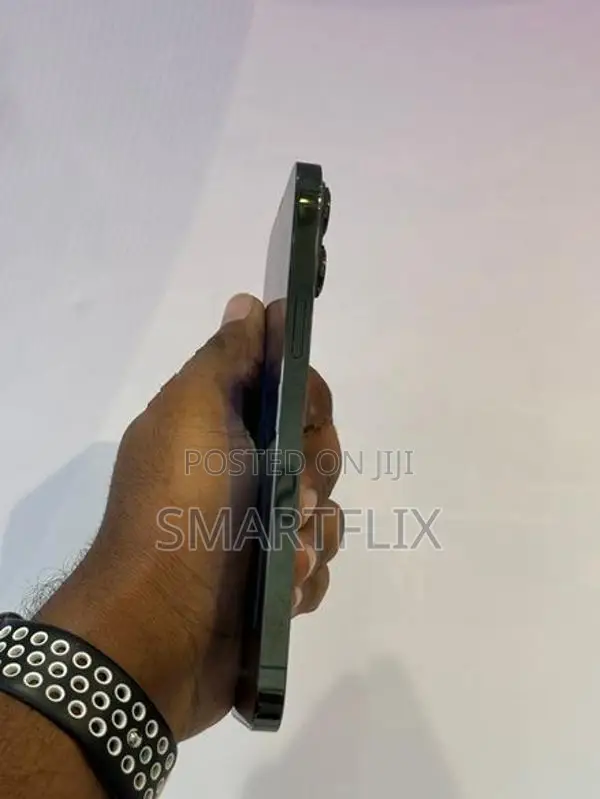 Apple iPhone 13 Pro Max (Used)