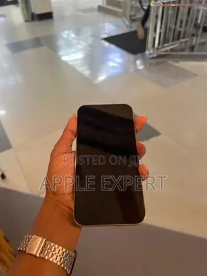 Apple iPhone 12 Pro Max (Used)