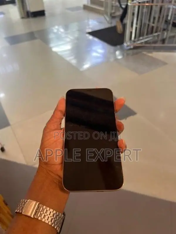 Apple iPhone 12 Pro Max (Used)