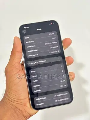 Apple iPhone 13 Pro Max (Used)