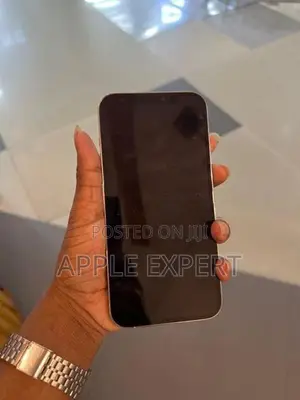 Apple iPhone 12 Pro Max (Used)