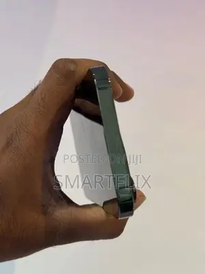 Apple iPhone 13 Pro Max (Used)