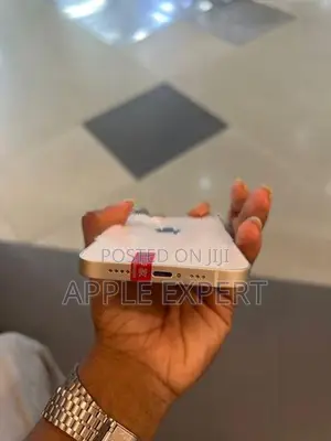 Apple iPhone 13 (Used)