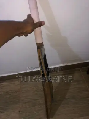 CA Power Bat