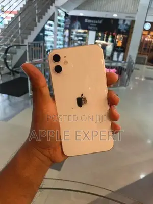 Apple iPhone 11 (Used)
