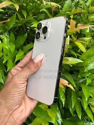 Apple iPhone 13 Pro (Used)
