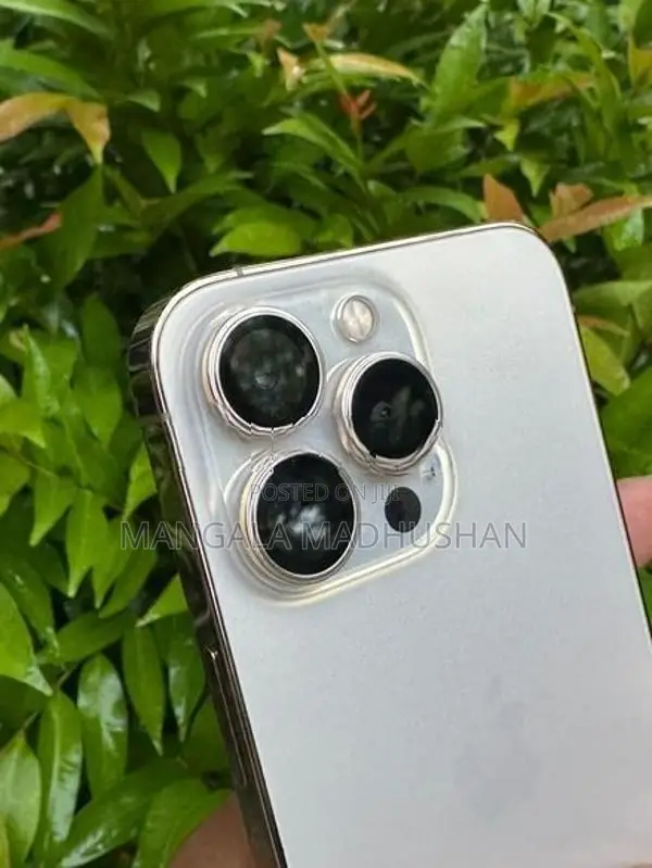 Apple iPhone 13 Pro (Used)